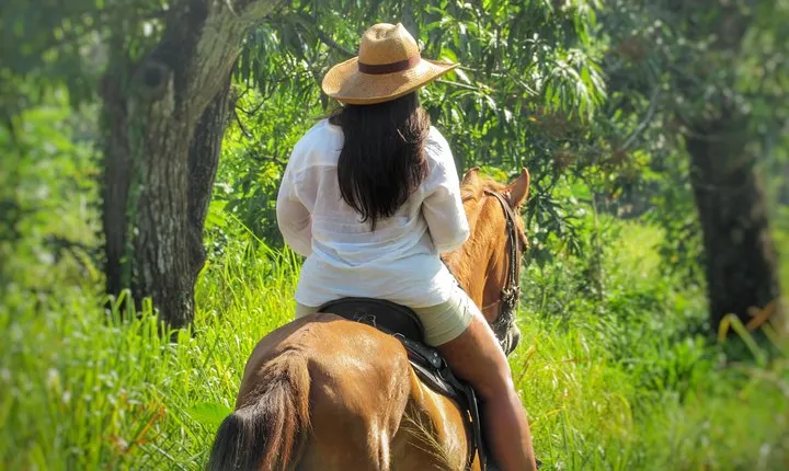 Discover a nature reserve on horseback