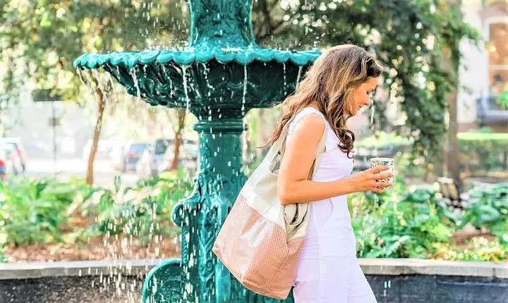 Genteel and Bard's Savannah History Walking Tour