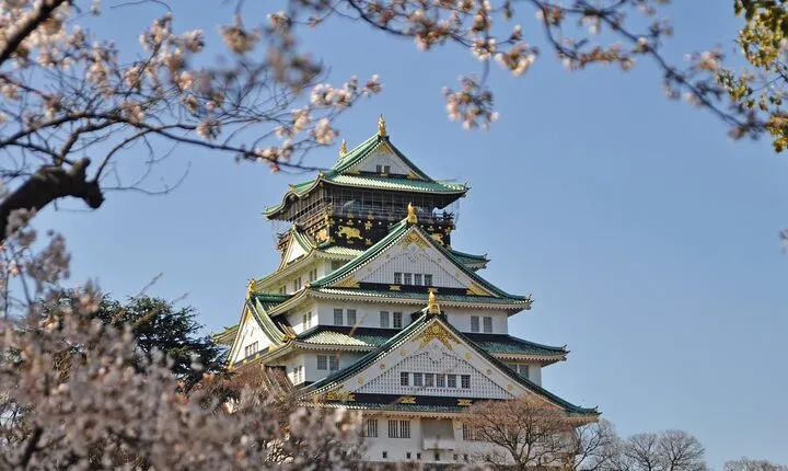 Private Customizable Tour Visit in Nagoya with Transfer Included