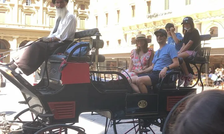 Medieval Carriage Ride with Horses and Local Tour Guide