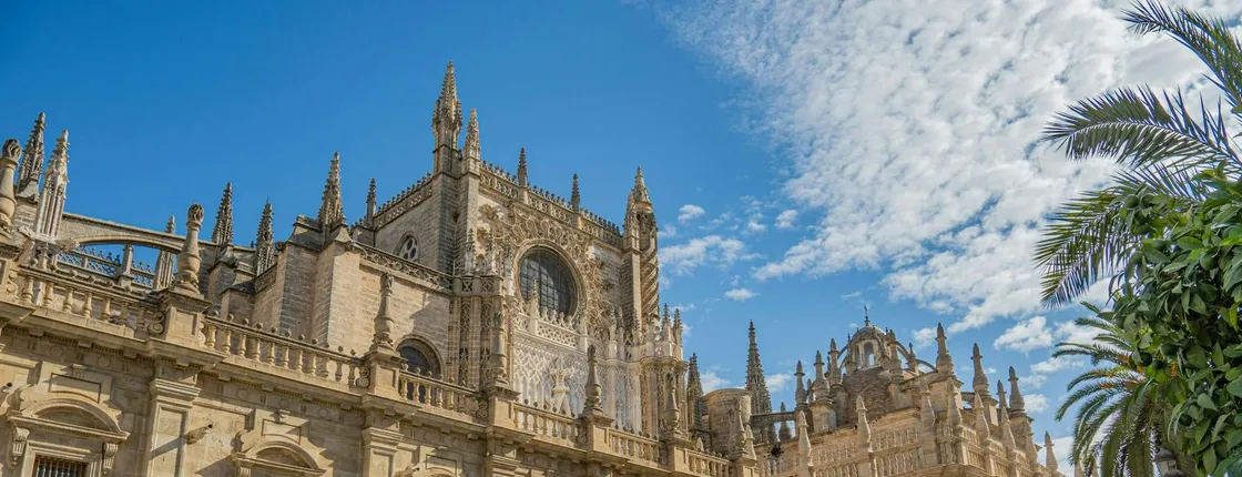 Private tour of the Cathedral and the Alcazar of Seville