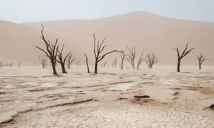 10 DAYS BEAUTY OF NAMIBIA | Guided Lodge