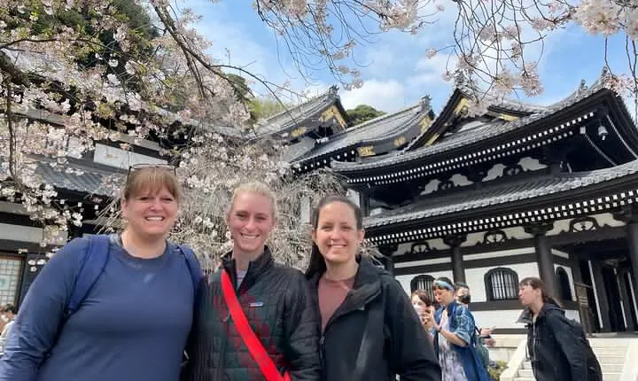 Kamakura Half Day Walking Tour with Kotokuin Great Buddha