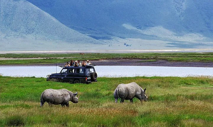 1 Day Private Safari in Ngorongoro Crater National park