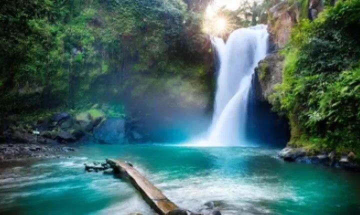 Ubud Tour: Waterfall, Sacred Temple, Rice Terrace, Monkey Forest