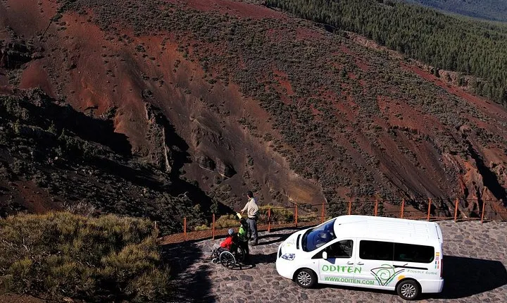 Get to know the Teide National Park and the north of Tenerife on a private tour