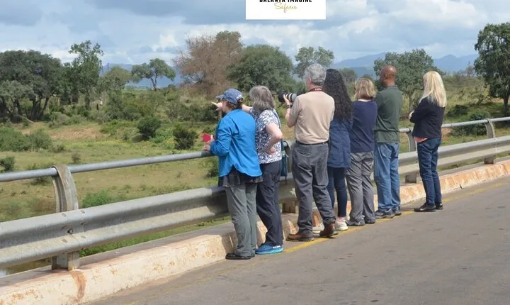 Exhilarating 7 Day Kruger Safari Adventure - South to North