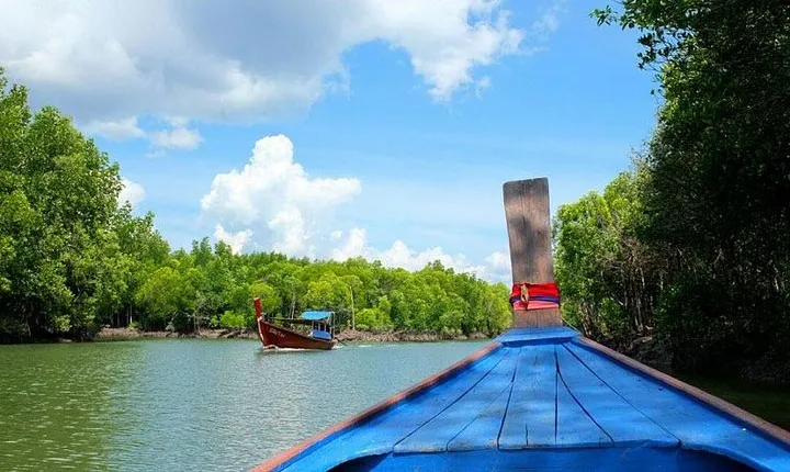 Tung Yee Peng Mangrove Forest Tour By Longtail Boat From Koh Lanta