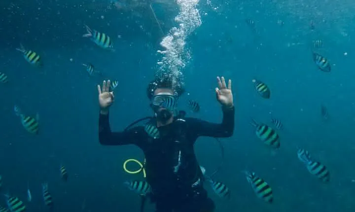 Blou lagoon snorkeling all incllusive