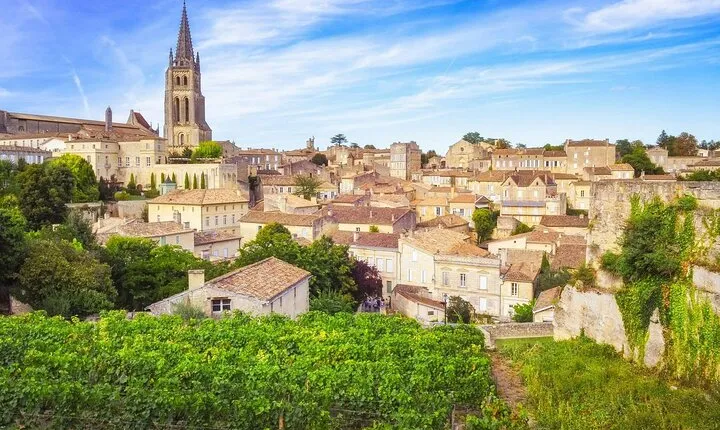 Half day tour Saint-Emilion : Village & Château with wine tasting