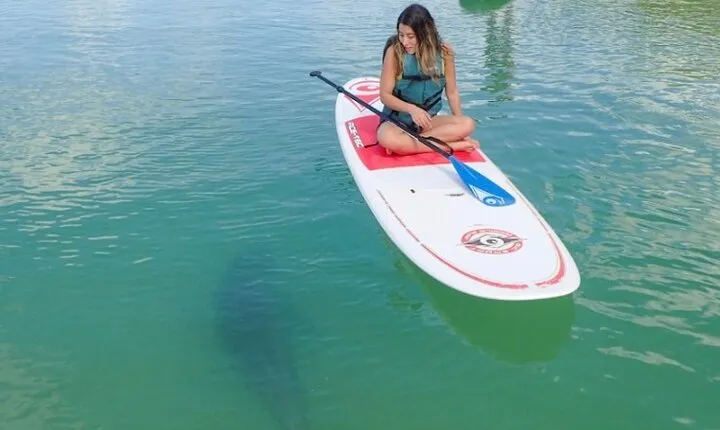 Kayak and SUP Rentals - Big Hickory Island - Fort Myers Beach, FL