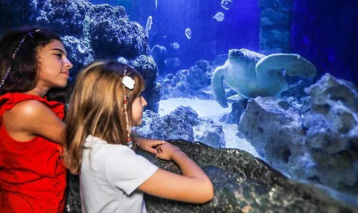 SEA LIFE Oberhausen Admission Ticket
