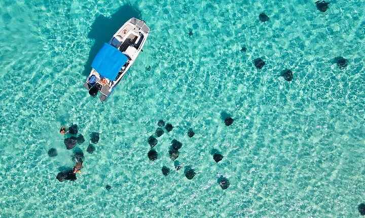 Sunrise at Stingray City, Private Tour
