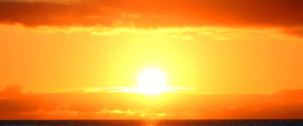 Madeira Living Sea Sunset Cruise with Dinner