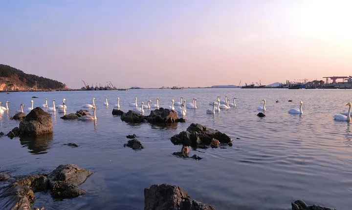 Private Transfer between Beijing and Qinhuangdao
