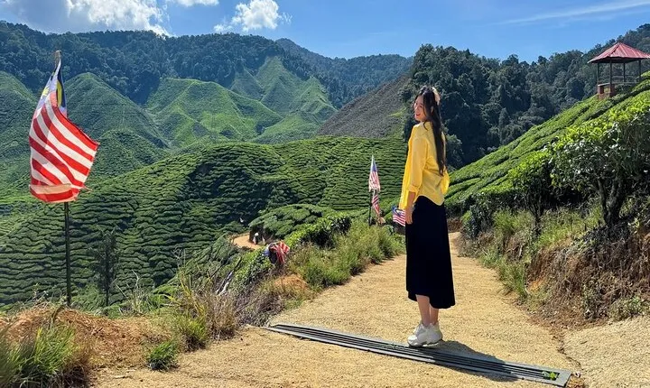 Cameron Highland Full Day Tour from KL City (Private)