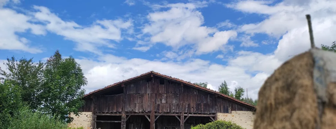 Full-day tour from Bilbao to discover the Basque rural culture