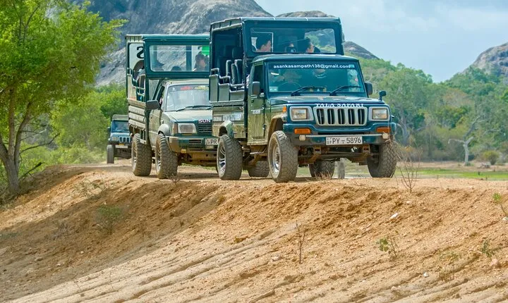 Day Tour to Wilpattu National Park from Colombo
