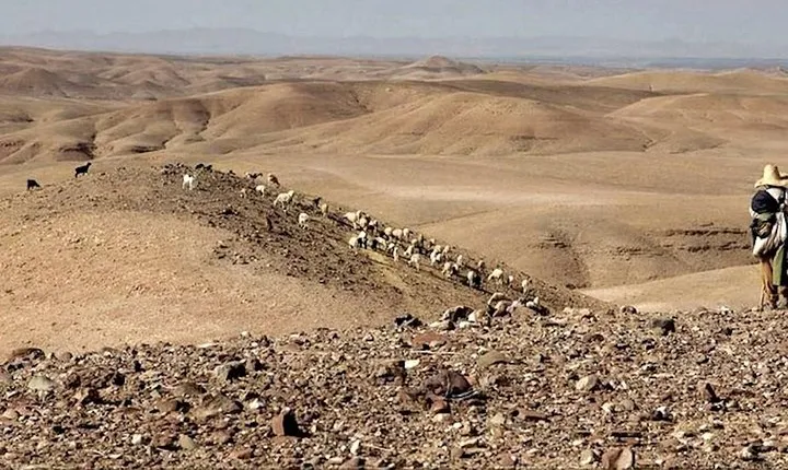 3 Valleys & Agafay Day Trip from Marrakesh