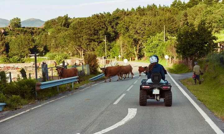 Half Day Quad Tour of Scenic Beauty and Adventure in Peneda Gerês