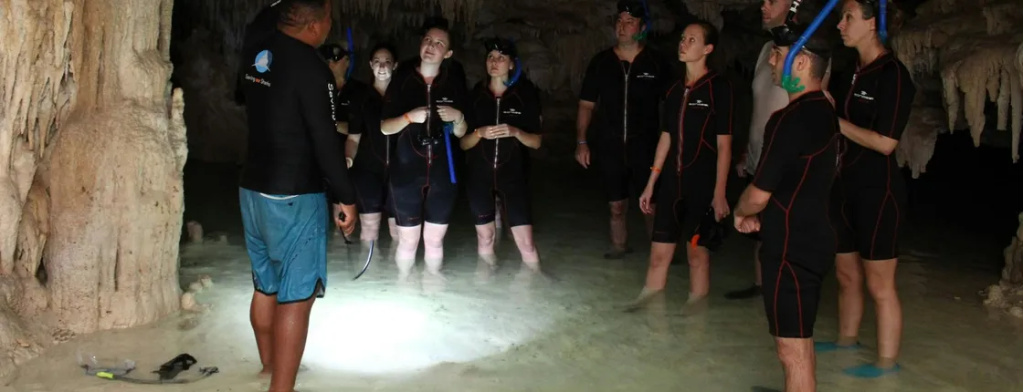 Snorkelling with Turtles and Cenote Swim in Riviera Maya