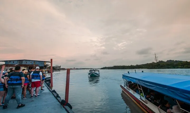 Private Fireflies Tour with Blue Tears and Seafood Dinner