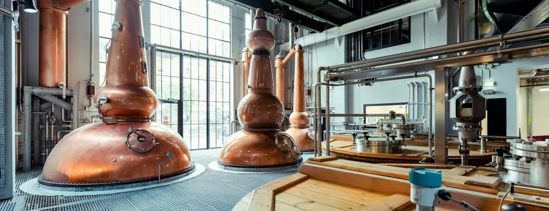 Private Dublin distillery trail