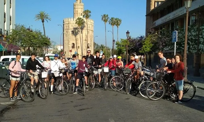 Full Day Bike Rental