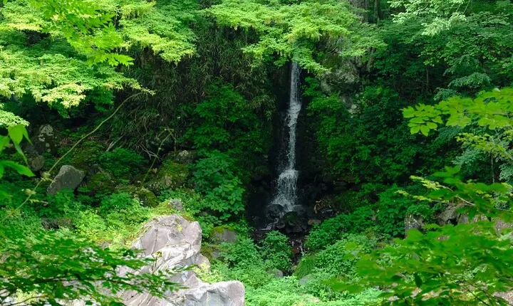 1 Day Tour Explore Nikko’s World Heritage and National Park