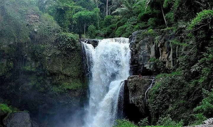 Private Chartered Car to Ubud and Uluwatu With Traditional Dances