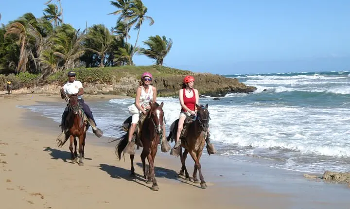 Horseback Riding Tour on the Beaches of Punta Cana