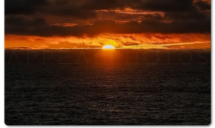 Private Venice Photographic Beach Walking Tour