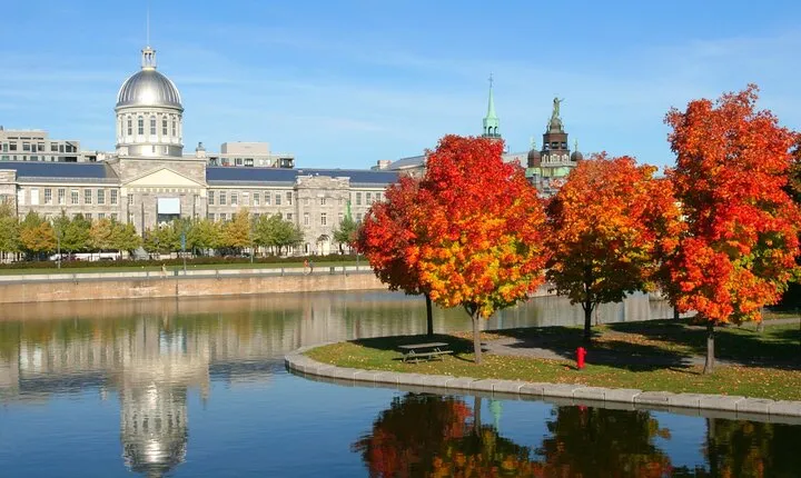 Old Montreal Private Walking Tour with Cruise Tickets 