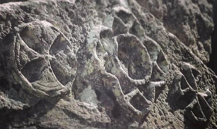 "Sintra, Legends and Medieval Stories" - Private Day Walk