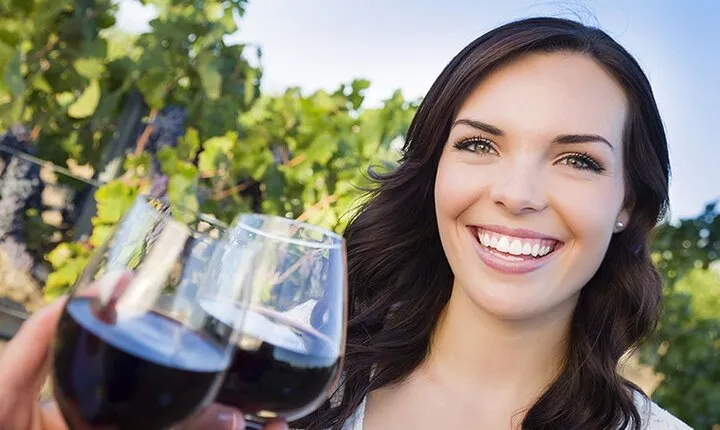 Niagara-on-the-Lake Small Group Wine Tour with Picnic Lunch