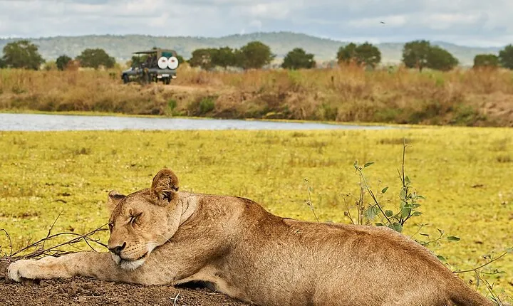 2 Days Private Safari Tour of Mikumi