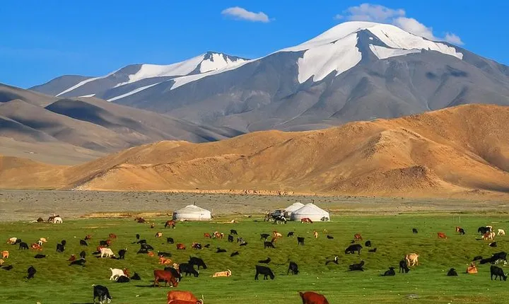 Best tour in Mongolian 7 days