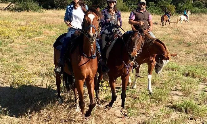 Rome : Horseback Riding with meals and wine included