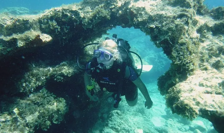 Local Guided Dives (for certified/licensed divers)