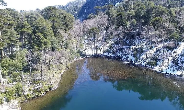 Trekking Huerquehue
