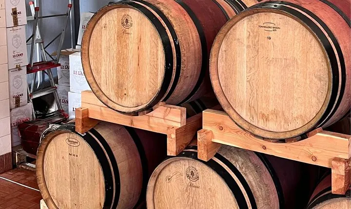 Chianti Winery + Brolio Castle Private Tour