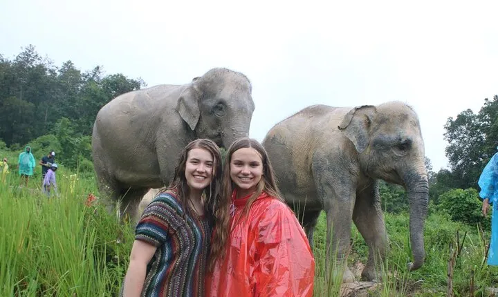 Chiang Mai Ethical Watching Elephant Sanctuary tour