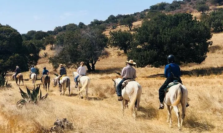 Horseback Riding through Mexican Haciendas