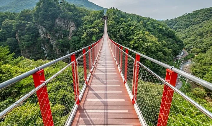 Private DMZ Peace Tour: 3rd Invasion Tunnel and Suspension Bridge