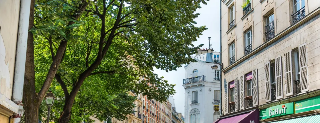 2-hour Montmartre Hill and Sacré-Cœur guided walking tour
