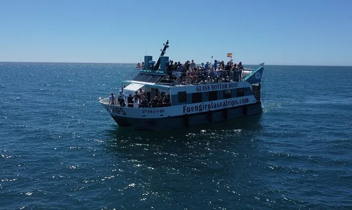 Dolphin watching on a Catamaran in Fuengirola