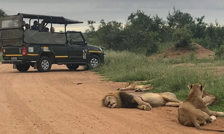 Full Day Kruger National Park Game Drive