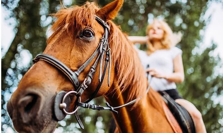 Ultimate Tulum Adventure: ATVs, Horses, Ziplines & Cenotes