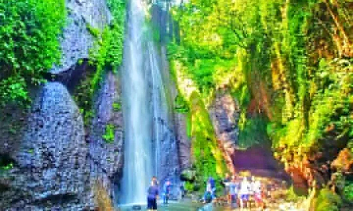 One Day Trip : Bogor City Tour With Lunch ( Start From Jakarta)