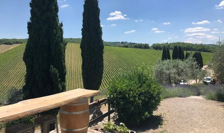 Visit Of The Chianti Classico And The Tuscan Countryside
